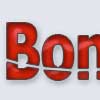 Bouns-Round Logo